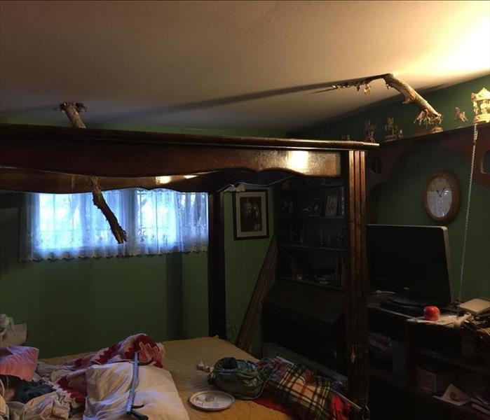 Tree branches poking through bedroom ceiling