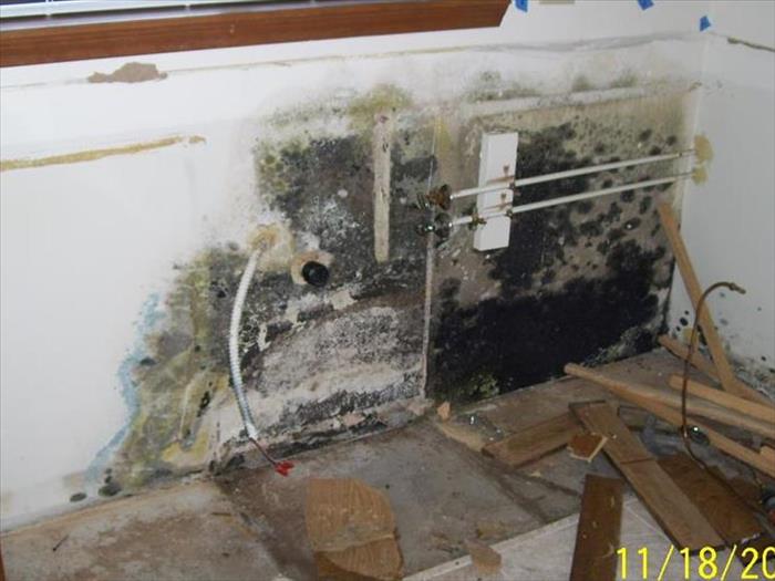 Mold resulting from water damage