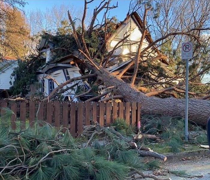 Wind Topples Tree Into Spokane Home 