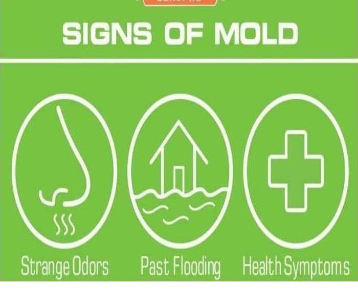 Graphic depicting signs of Mold