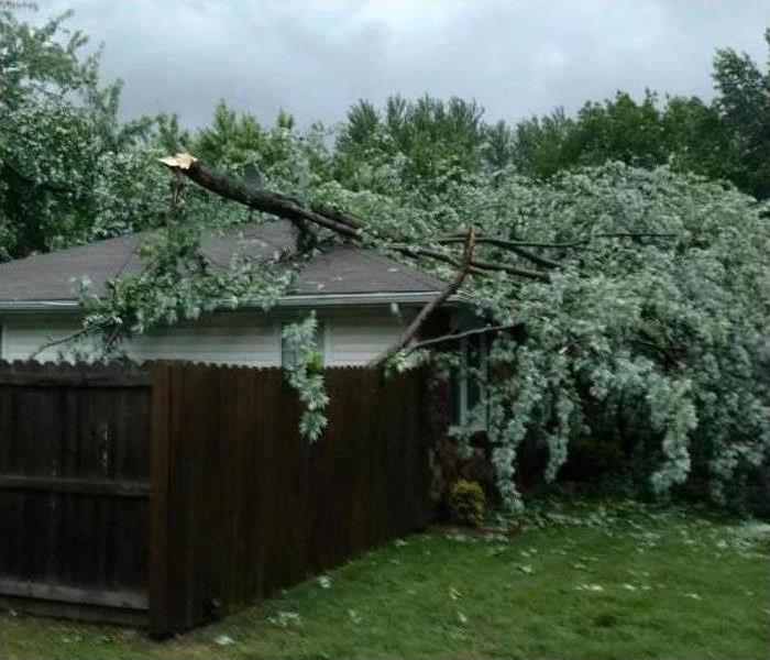 Home with fallen tree on the roof