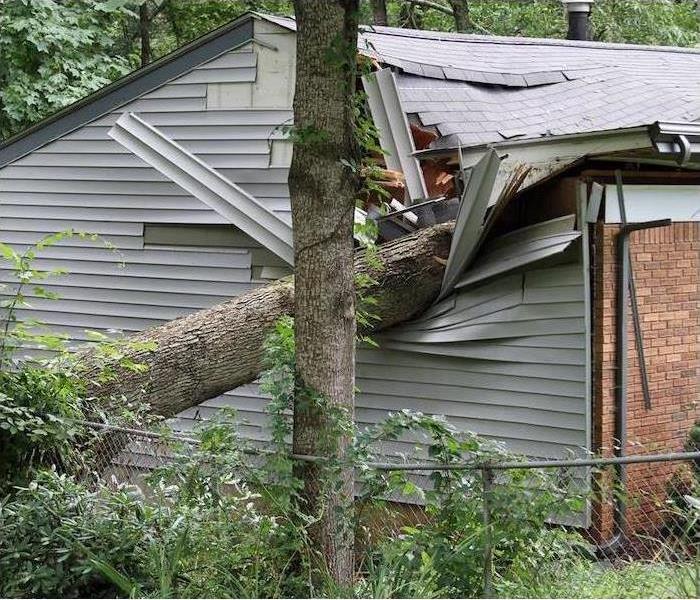 Tree fallen on a roof after a storm